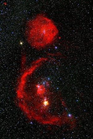Orion Nebula (20)
