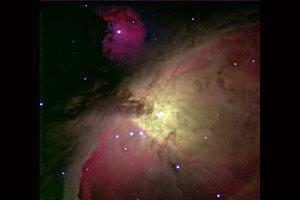 Orion Nebula (40 inch)
