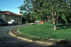 CSO Lawn - 2001