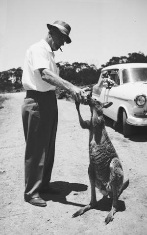 A joey at SSO, 1963