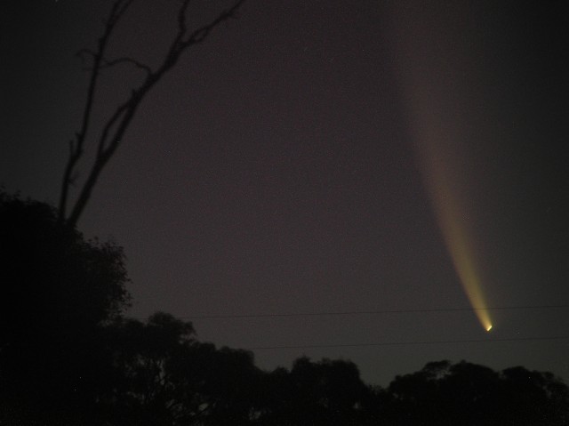 20/1/07 without noise reduction. Olympus C770UZ