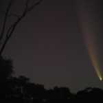 20/1/07 without noise reduction. Olympus C770UZ
