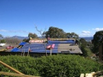 Tiles gone and Zinc-alum roof going on over new insulation and new heavy-duty sarking.