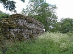 Remains of the Silchester town wall