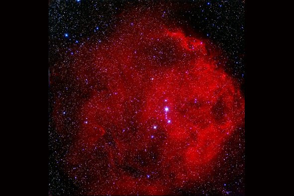 Orion (Lambda)