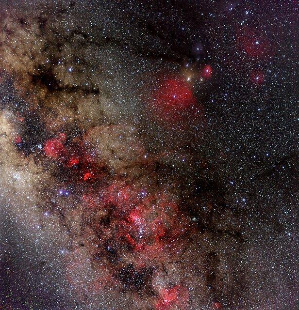 Scorpius