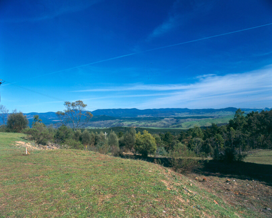 Bidgee Valley