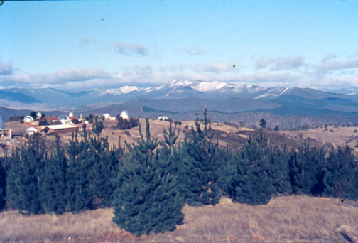 Snow on the Brindabellas