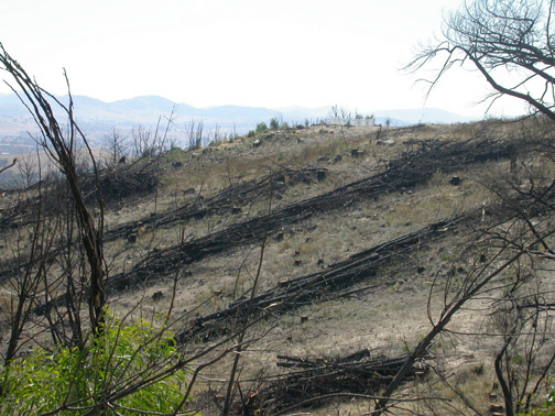 31 March 2004