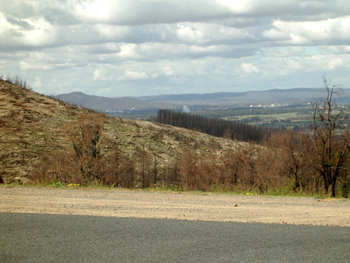 KR4516