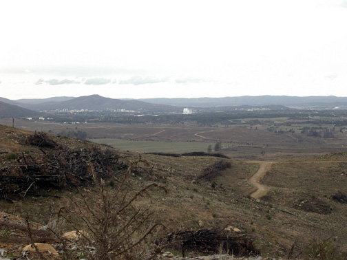 With the trees gone you can see Canberra from the office windows