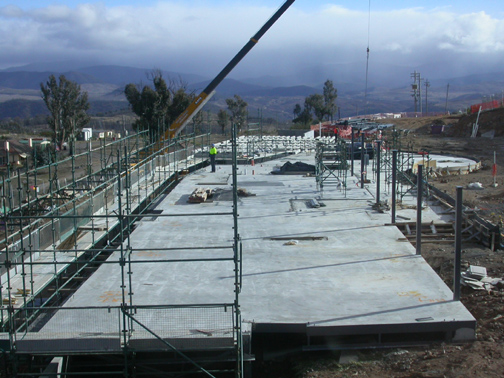 17 June 2005