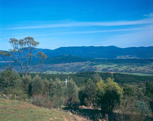 Bidgee Valley