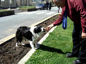 The Supervisor receiving one of  many handouts