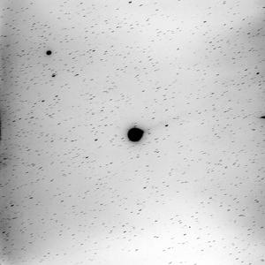 Halley 13-12-85
8m IIIaJ