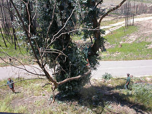 DSCN0350