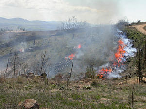 24 Sept 2004
 Burning windrows on observatory site