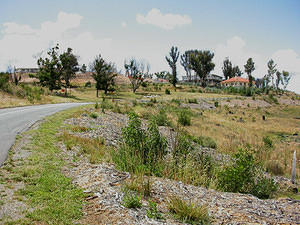 From road below house 7 site. Jan 24, 2005