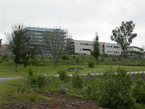 4 November 2005