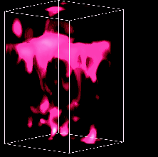 Temperature contrast in part of a Solar simulation