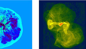 Comparison of simulations with the large scale radio galaxy M87.